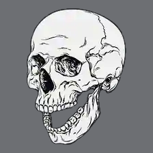 A skull looking to something funny on its right side.